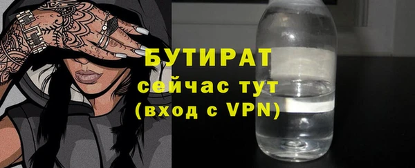 гидра Кодинск