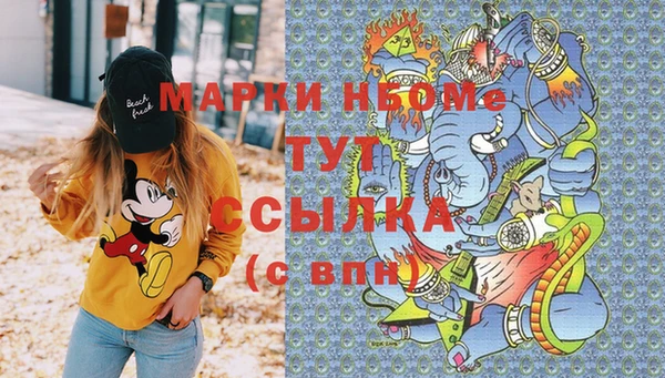 гидра Кодинск