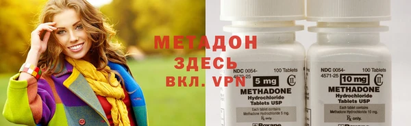 гидра Кодинск