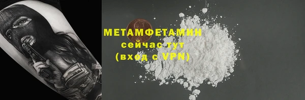 гидра Кодинск