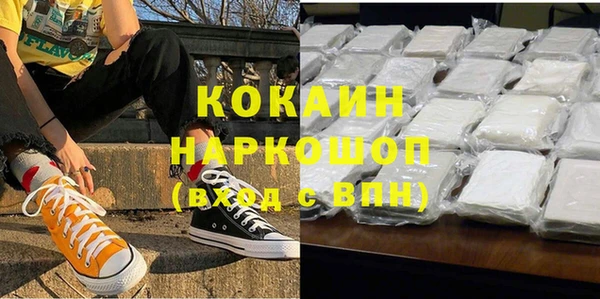 гидра Кодинск