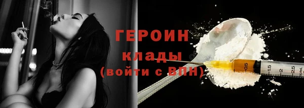 гидра Кодинск
