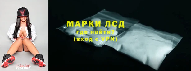 гидра Кодинск