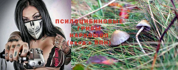 гидра Кодинск