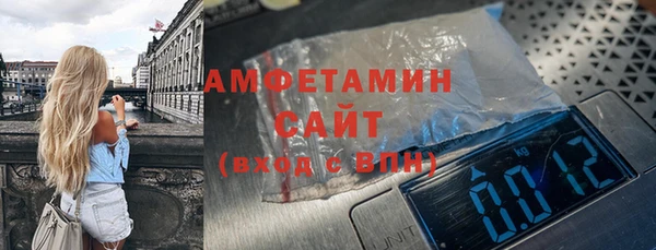 гидра Кодинск