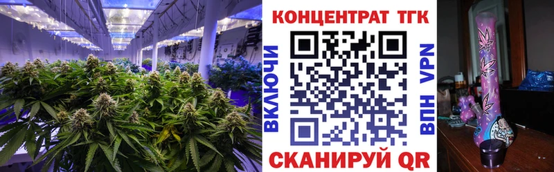 Купить  Семикаракорск  ТГК концентрат 