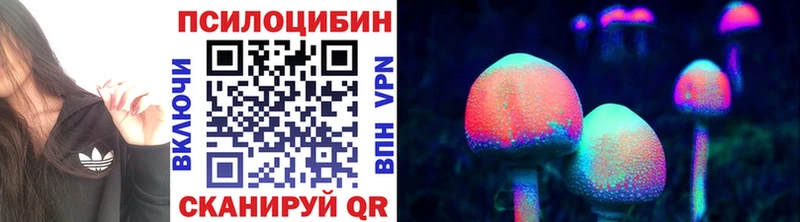 Купить закладки  Семикаракорск  Галлюциногенные грибы Cubensis 
